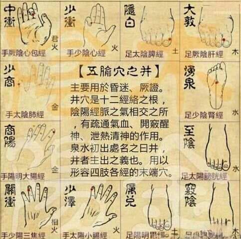 五俞穴 — 井荥输经合（详细解说，非常重要）