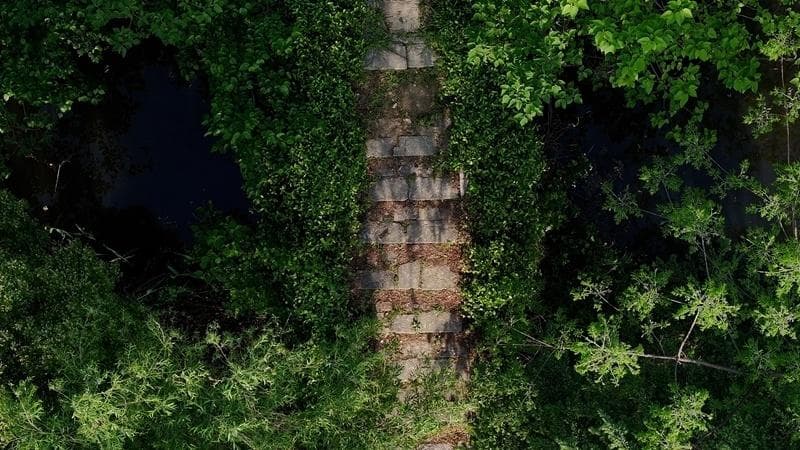 探访记录349座苏州古桥，他想留住家乡的小桥流水