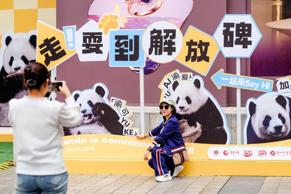 重庆首个熊猫嘉年华为何能引发全城“吸熊猫热”？