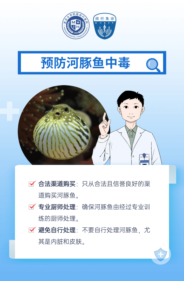 看似呆萌的河豚竟有剧毒？急诊医生提醒：正确吃、小心吃！