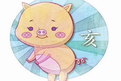 属猪人五行属什么 71年出生的属猪人命运解析