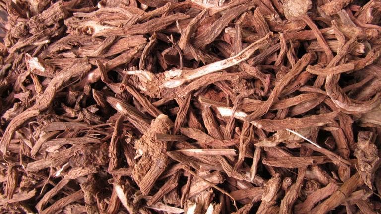 川续断的功效与作用、禁忌和食用方法