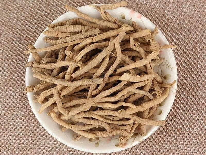 远志的好处你都了解多少？