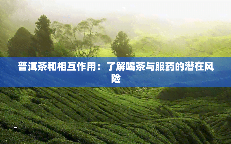 普洱茶和药物相互作用：了解喝茶与服药的潜在风险
