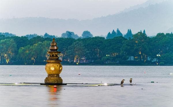 西湖的水从哪里来？