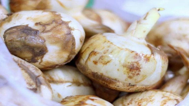 慈姑的功效与作用、禁忌和食用方法