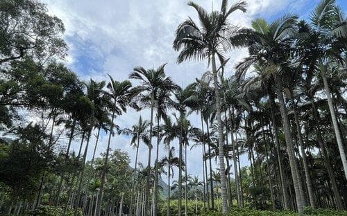 柳州两天一夜游玩攻略 柳州二日游自由行攻略线路