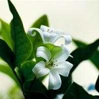 历史唯物主义的基本原理