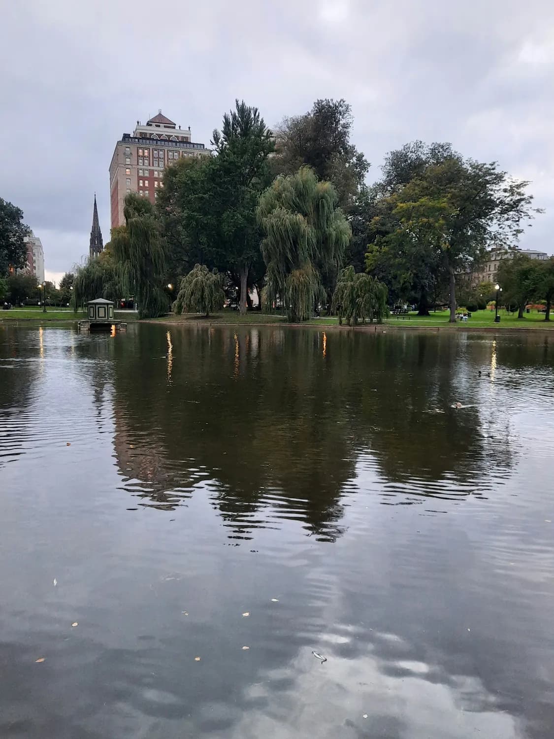 昆明翠湖公园：雨天出行攻略