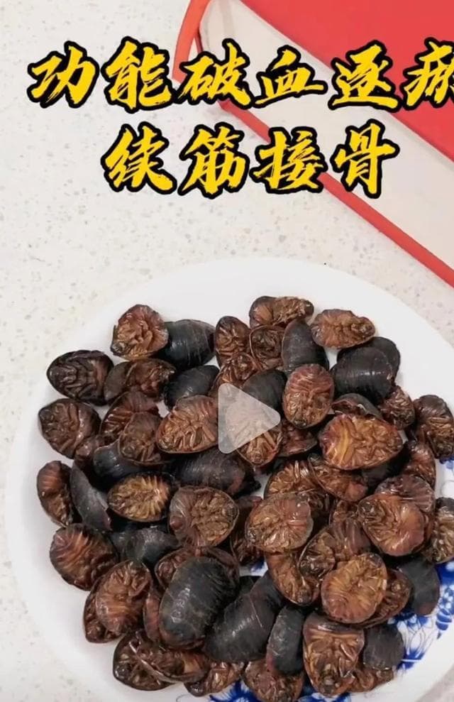 土鳖虫：土里钻来钻去，却能续筋接骨