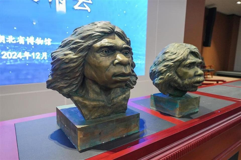 世界首次！百万年前“郧县人”头骨化石复原成果发布