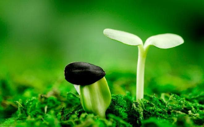 古诗词最高级的情景关系：以景结情