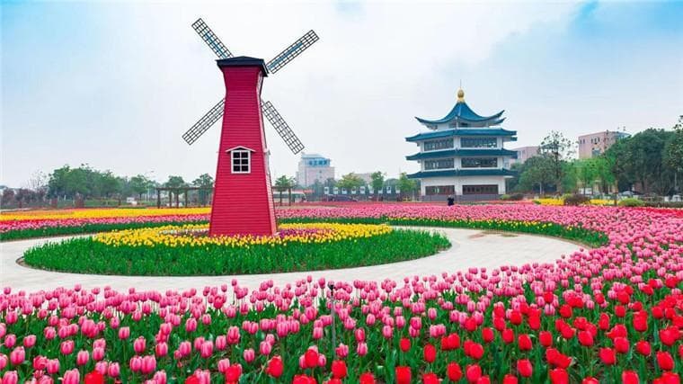 江苏冬日乡村潮玩乐购之旅：从长江村到栟茶古镇的文旅新体验