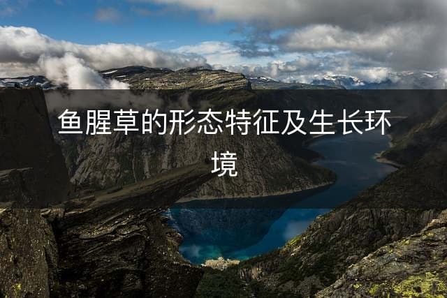 鱼腥草的形态特征及生长环境