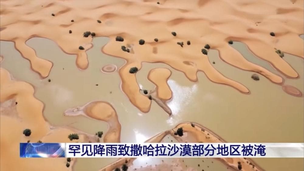 撒哈拉沙漠涨水正常吗？5千年前还是绿洲？什么原因使其彻底变干