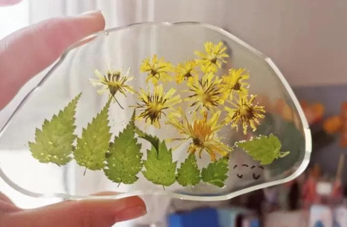 亲子DIY植物标本：4种实用制作方法全攻略