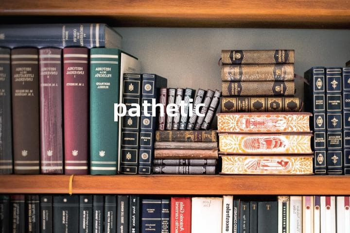 pathetic的意思