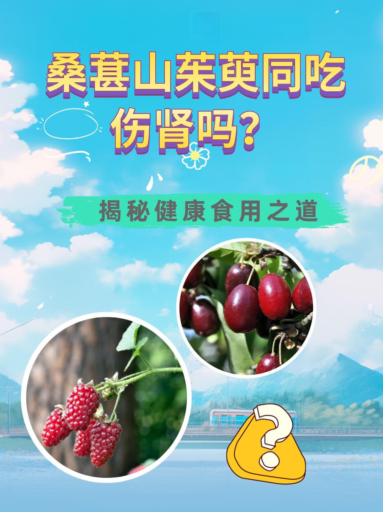 桑葚山茱萸同吃伤肾吗？揭秘健康食用之道