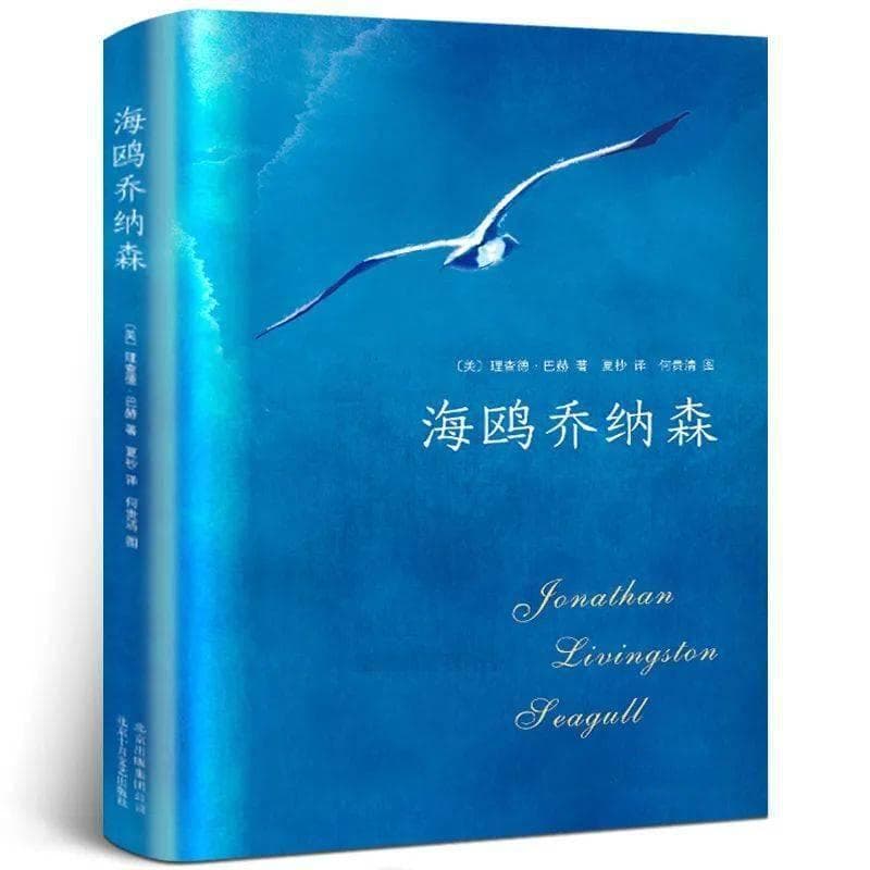 从《海鸥乔纳森》看人生的三大关键阶段