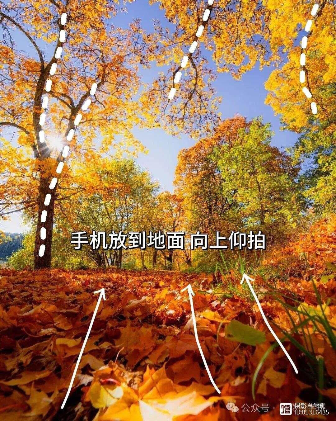 从改变视角到捕捉瞬间：风光摄影10大技巧