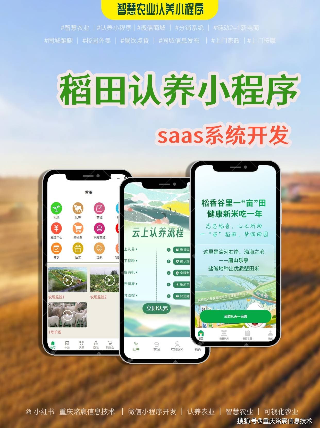 定制化开发小程序与模板开发小程序的区别