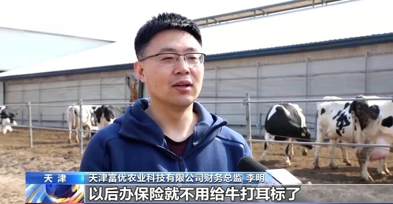 “牛脸识别”助力农业保险 产业发展有效率更有底气