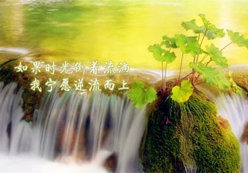 向往好生活的短句子