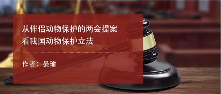 从伴侣动物保护的两会提案看我国动物保护立法