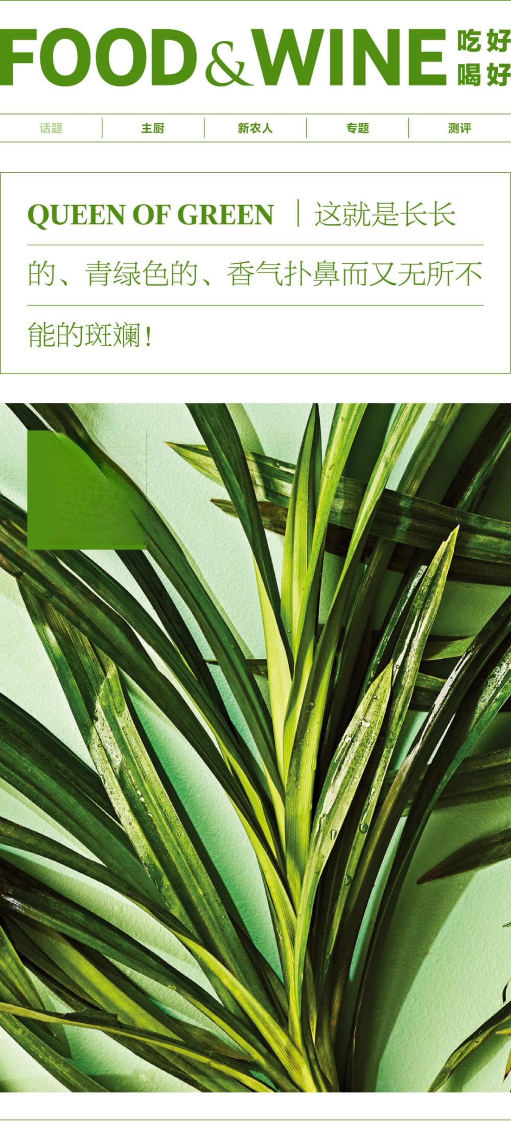 斑斓叶：从娘惹菜到网红甜品的香料传奇