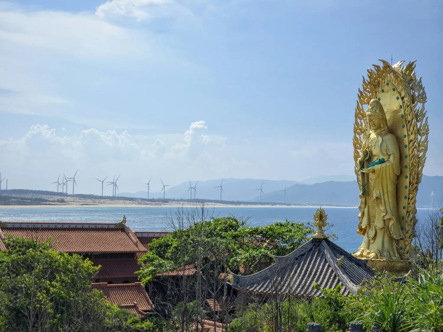春节普陀山自驾游全攻略：从准备到体验