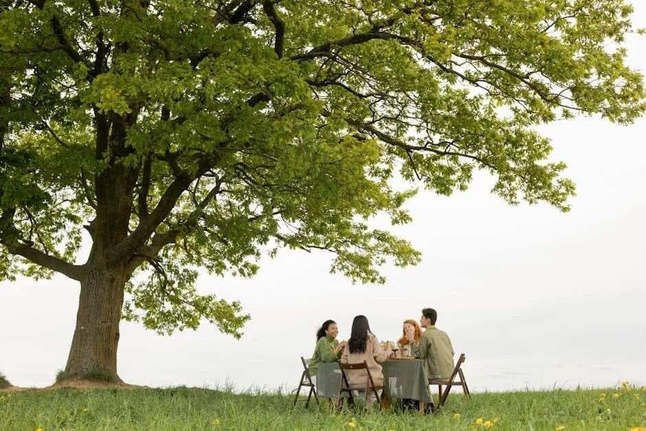 《了凡四训》：十种行善积德、改造命运的方法