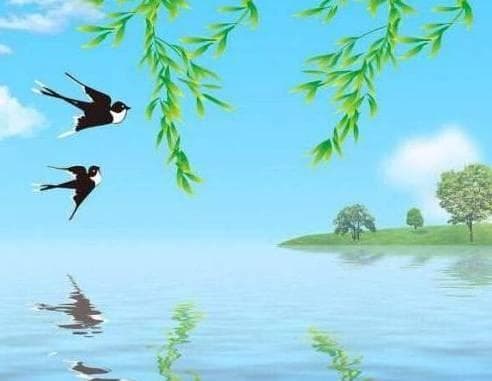 天冷时小燕子飞到南方，天暖后又飞回北方，为何它不一直在南方？