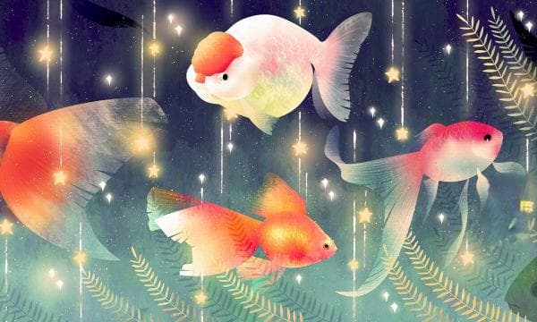 生物的特征与多样性：生命的奥秘与精彩