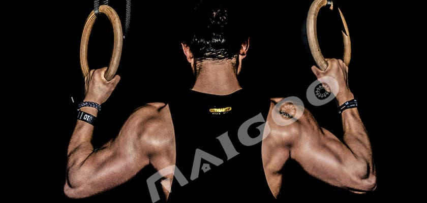 【肌肉知识百科】人体肌肉分布及名称 人体肌肉锻炼方法