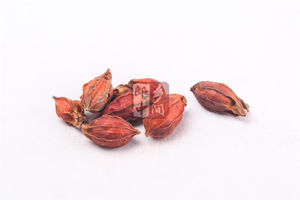 栀子的功效与作用及日常食用方法