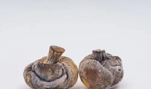 香菇在冰箱中变黑了，怎么查看是否还能继续食用