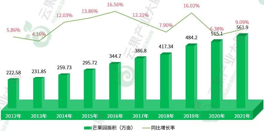 中国芒果产业数据分析简报