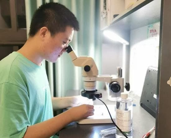 抽屉里的数万只蚂蚁：一个高中生的科学发现之旅