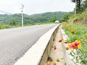 昆明绿美公路建设显成效