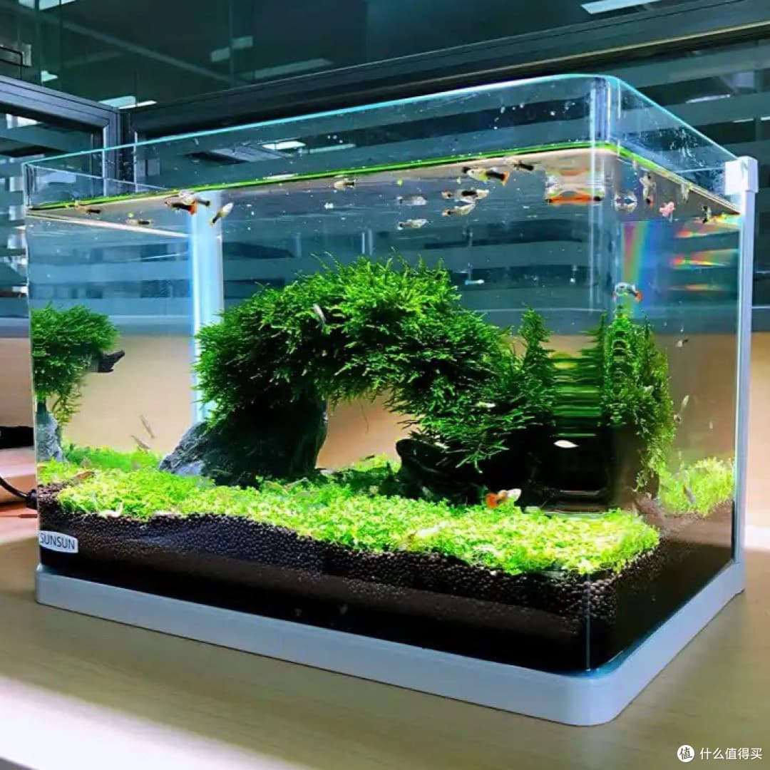 “零”设备生态鱼缸制作全攻略