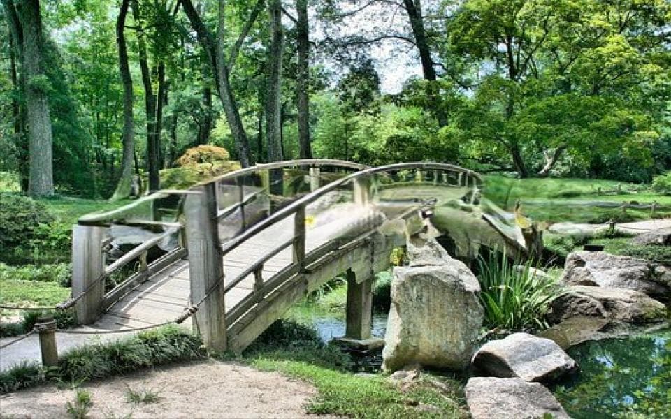 九华山寺庙求签：探寻神秘签文指引人生