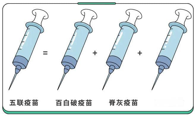 @全体家长：寒假期间别忘了给娃安排疫苗的查漏补种！
