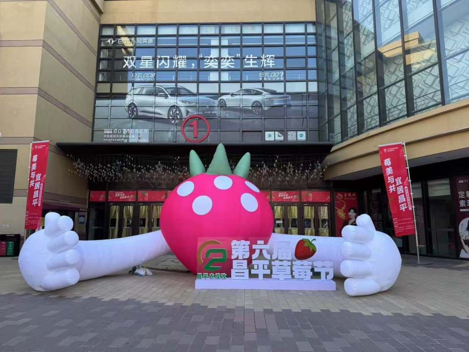 第六届昌平草莓节开幕 现场发布8个草莓新品种、6条草莓主题线路