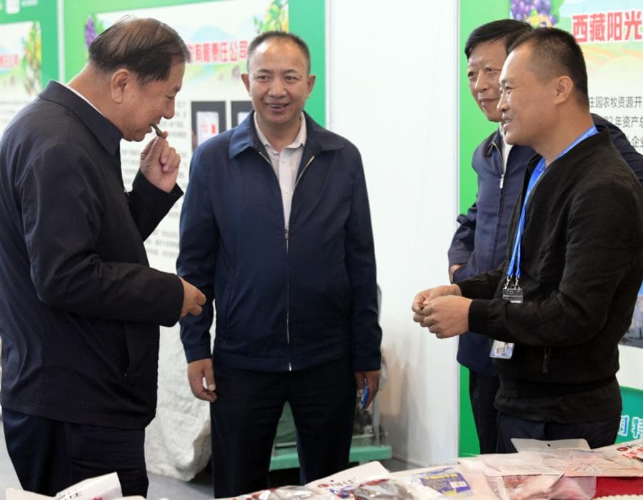 藏北牦牛，承载生活与文明的故事