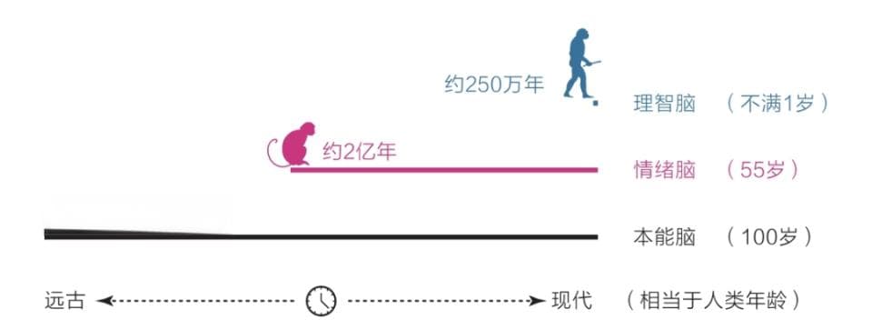 黄金圈思维：从"为什么"开始思考的力量