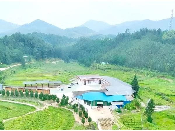 资源县“四个三”机制发展中药材产业助农增收