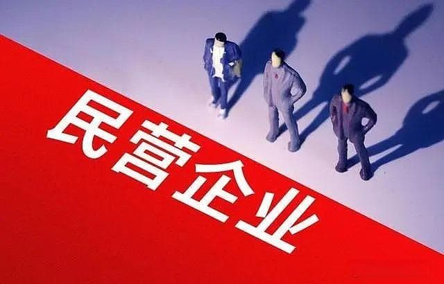 民营企业如何与政府打交道