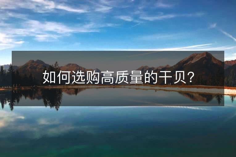 如何选购高质量的干贝？