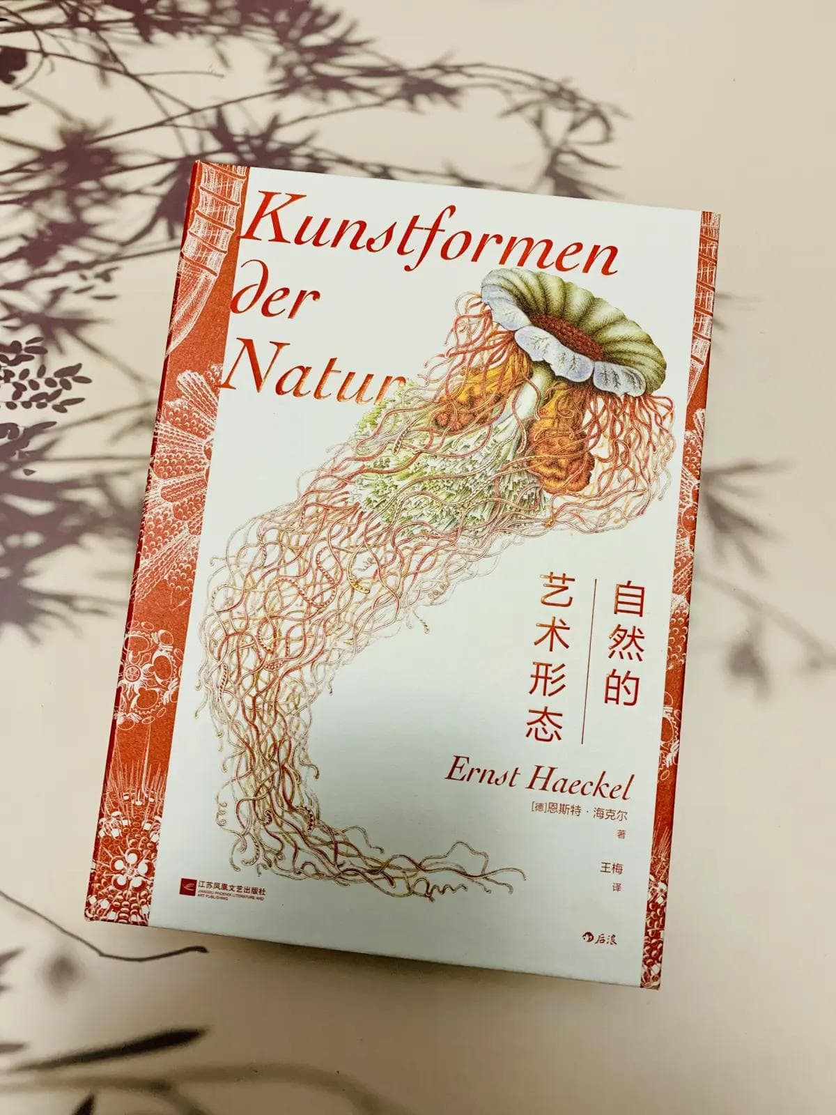 《自然的艺术形态》：生物的艺术美，科学中藏诗意