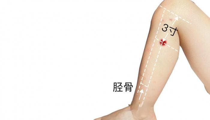 足三里穴位在哪里？足三里穴作用和功效是什么？